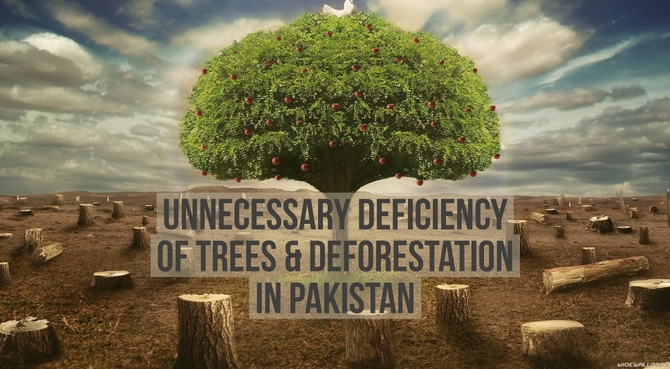 Unnecessary Deficiency of Trees & Deforestation in Pakistan