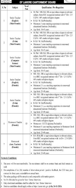 Cantt-public-educatin-inst-jobs-8-11-24.jpg