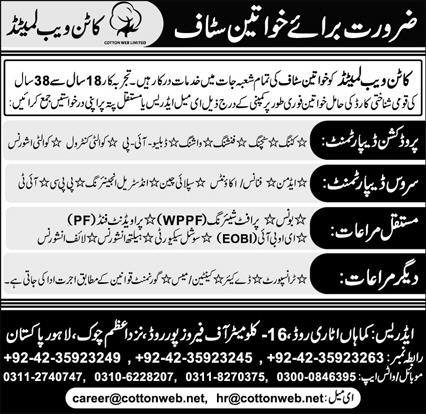 Cotton-web-lhr-jobs-10-11-24.jpg