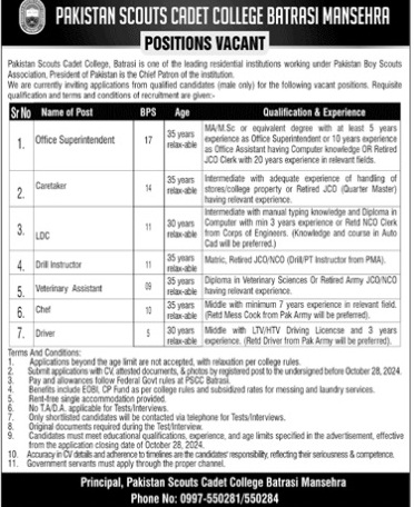 Pak-scouts-col-jobs-20-10-24.jpg