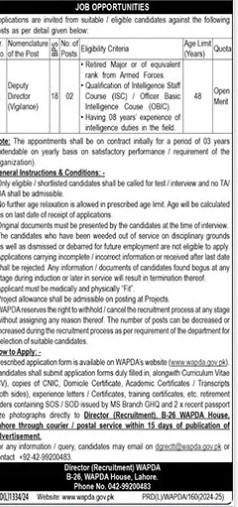 Wapda-jobs-14-11-24.jpg